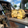 Resized_IMG_0353