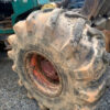 Resized_IMG_0355